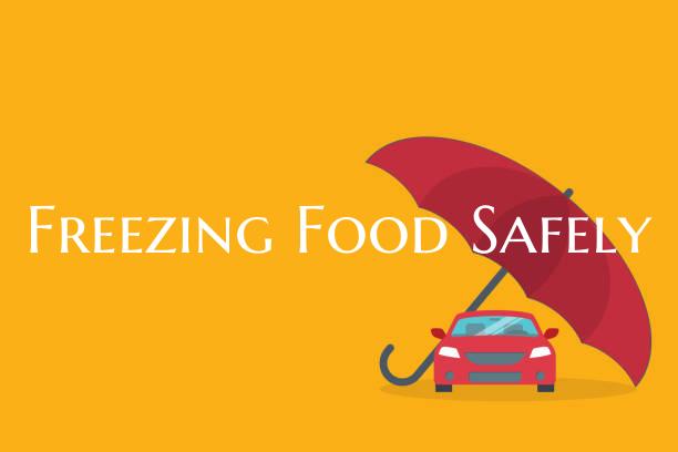 Freezing Food Safely