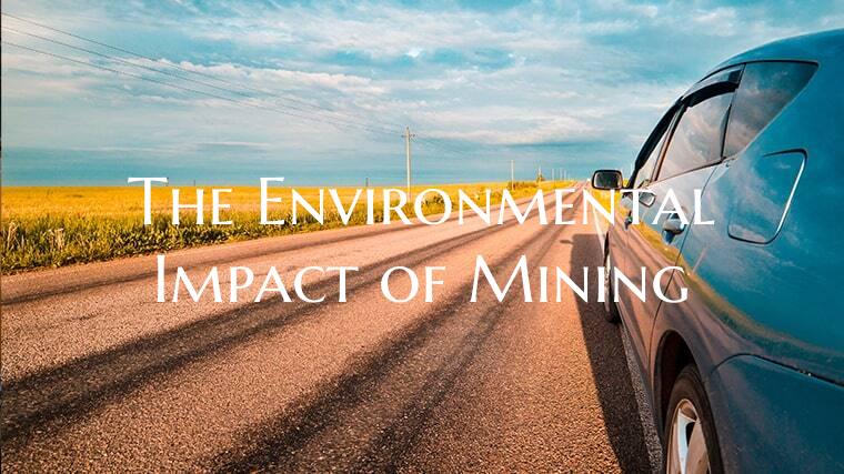 The Environmental Impact of ...